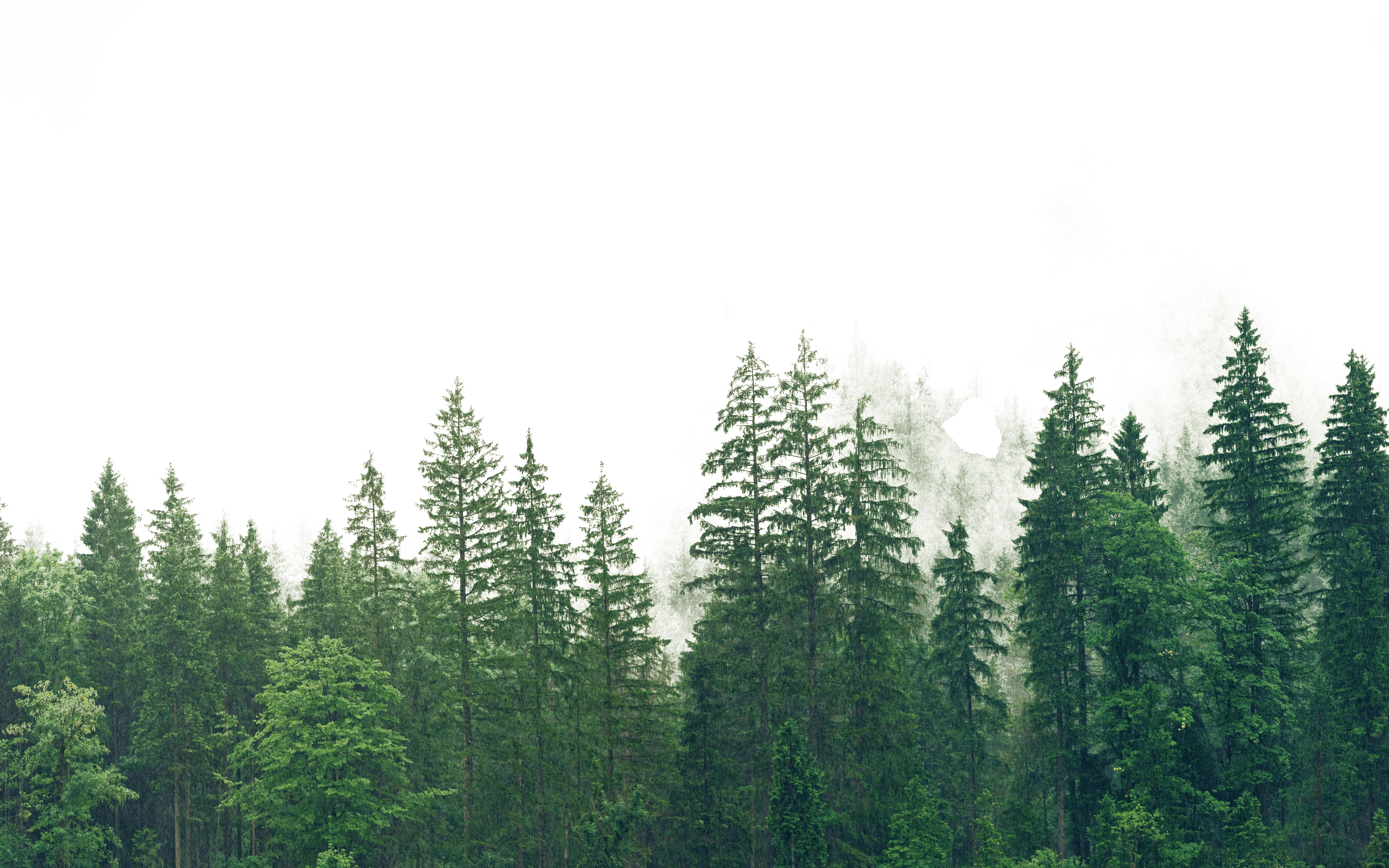 Landing Page Foreground